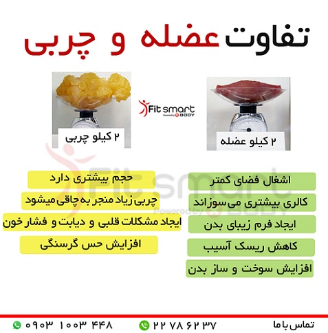 ترکیب بدن 
تفاوت چربی و عضله در بدن